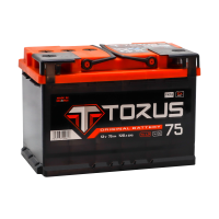 Аккумулятор TORUS 6ст-75 (1)